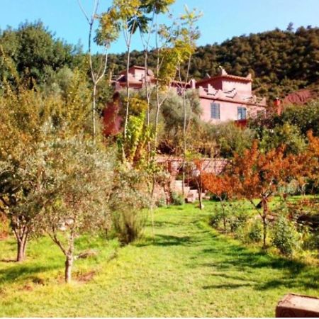 Hotel Ourika Timalizène le jardin des délices Tamezindert Exterior foto